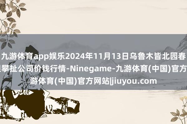 九游体育app娱乐2024年11月13日乌鲁木皆北园春果业筹划惩办有限攀扯公司价钱行情-Ninegame-九游体育(中国)官方网站|jiuyou.com