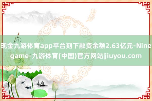 现金九游体育app平台刻下融资余额2.63亿元-Ninegame-九游体育(中国)官方网站|jiuyou.com