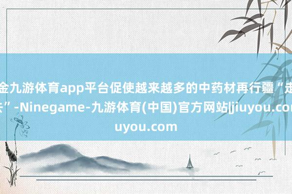 现金九游体育app平台促使越来越多的中药材再行疆“走出去”-Ninegame-九游体育(中国)官方网站|jiuyou.com